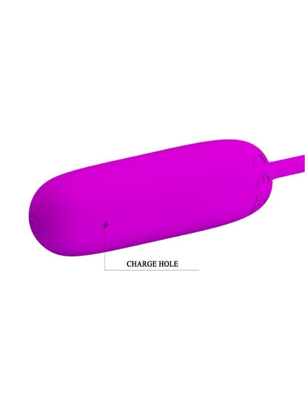 Censan 12 Titreşim Modlu Modern Vibratör - Görsel 5