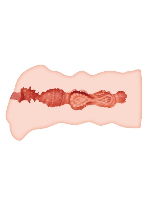 Censan 3D Leila Sunu Vajina Masturbatör - Görsel 5