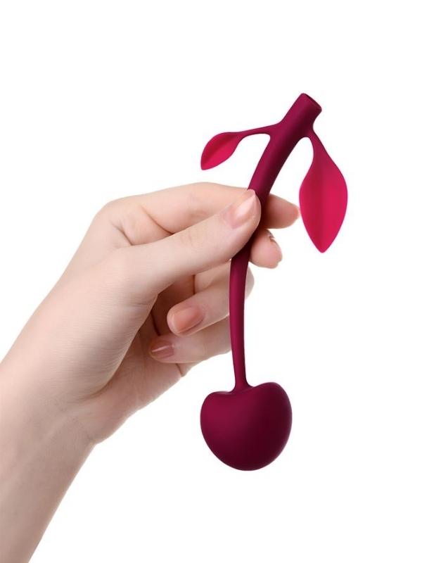Censan Jos Kiraz Vajinal Top silikon bordo 14,5 cm - Görsel 2