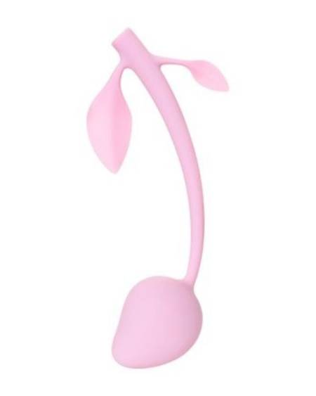 Censan Vişne Vajinal Top Pembe